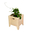 Cutie din lemn pentru flori, Transilvan, Flora, 39x36x42 cm, Maro