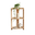 Shelf Elisse, Transilvan, 3 Levels, Outside Corner Shelf, Solid Wood, 37x37x88 cm, Natural Wood