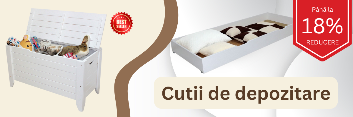 Cutii de depozitare