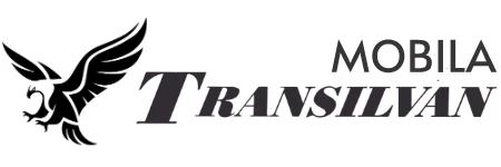 Industry Transilvan Mobila